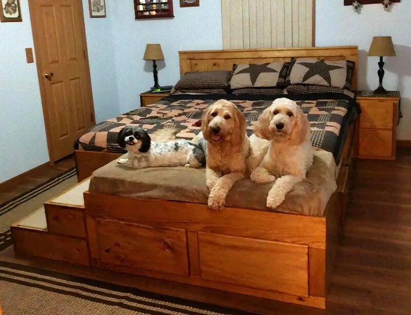 Собачья кровать для человека. Кровать для домашних животных. Кровати для животных в интерьере. Кровать с животными. Кровать с местом для собаки.