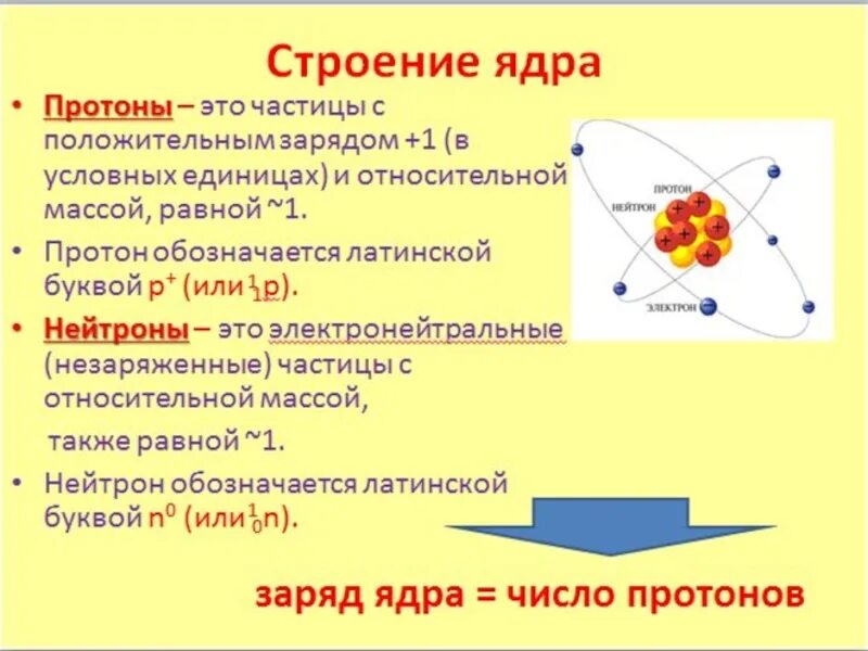 Ядерные частицы называются