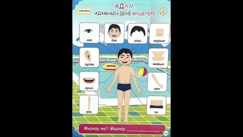 Мен жағада бір жігітті сордым