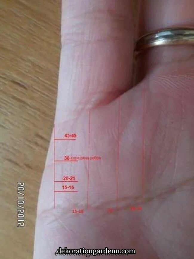 Трезубец на линии брака. Линия виваха хиромантия. Линия брака на руке. Линия брака. Две линии брака.