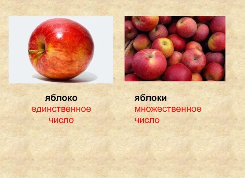 Множественное число слова яблоки