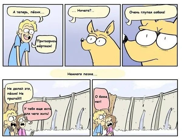 Не глупая собака