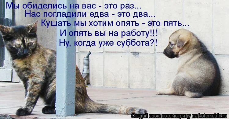 меня нельзя обижать. я обиделась. давай мириться. не обижайте любимых стихи. обижен бывший песня.