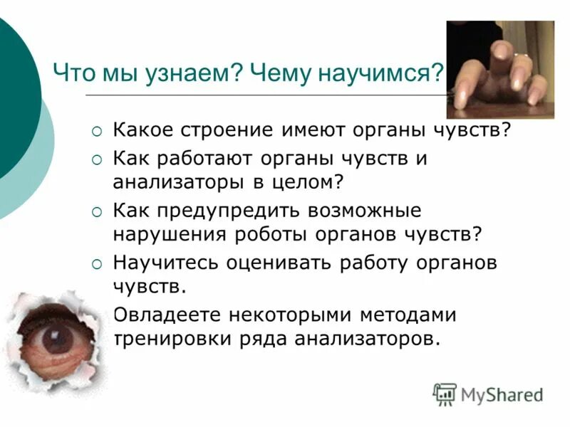 Органы чувств 8 класс биология презентация. Органы чувств. Строение и работа наших органов чувств. Факты о строении и работе наших органов чувств. Интересные факты о органах чувств.