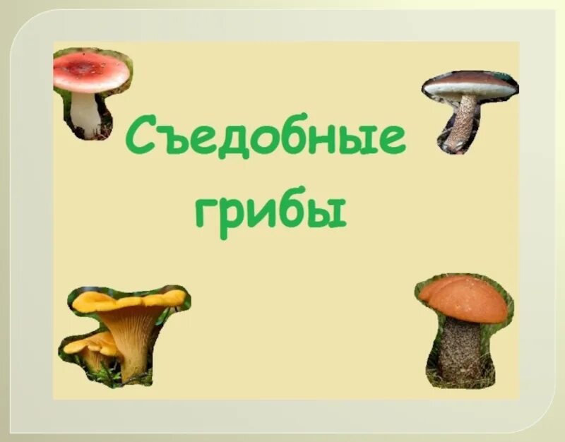Наука про грибы. Съедобные грибы. Грибы: съедобные и несъедобные. Сообщение о съедобных грибах. Съедобные грибы презентация.