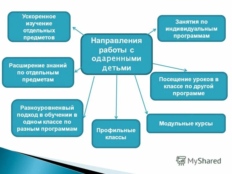 направления по работе с одаренными детьми. направление одаренных детей. направления работы с одаренными детьми. направления одаренности детей. направление одаренных детей.