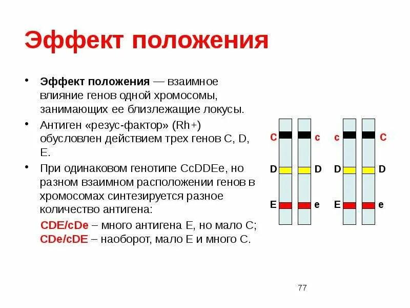 Геном расположенным в хромосоме у человека контролируется