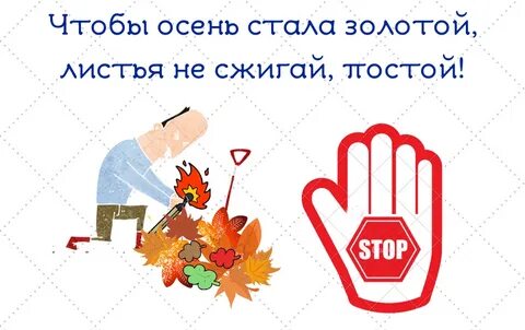 Не сжигайте листья листовка в садик
