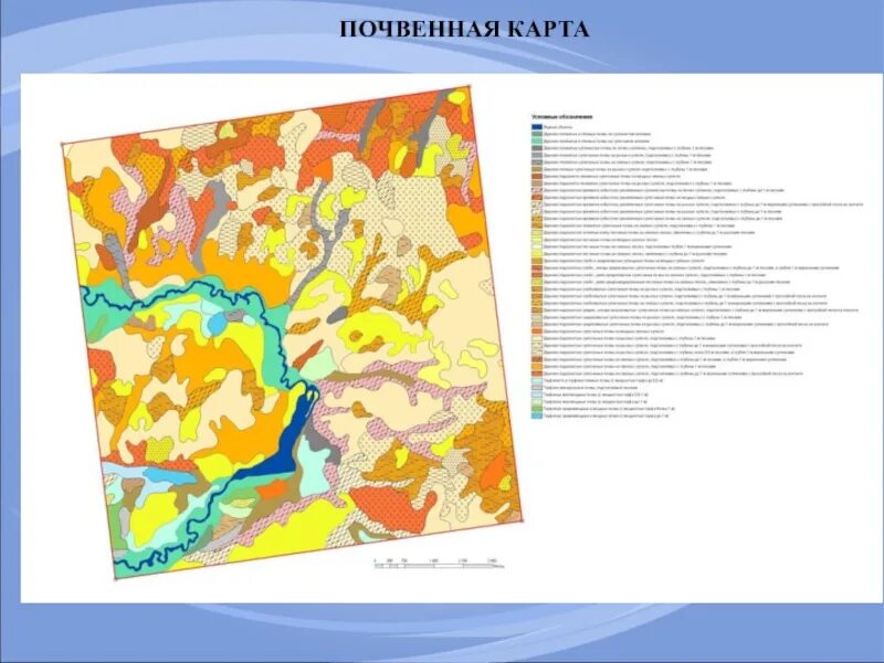 Почвенная карта школьного атласа дает. Почвенная карта. Крупномасштабные почвенные карты. Составление почвенной карты. Почвенная карта района.