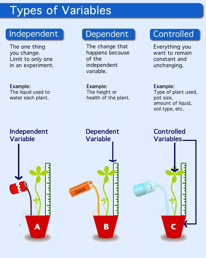 Plants control. Dependent and independent variables. Dependent independent Controlled variables. Control variable independent variable and dependent variable. Dependent and independent variables examples.