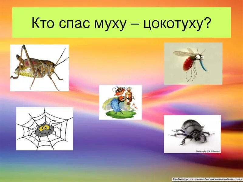 Как спасти муху. Спас муху цокотуху. Кто спас Муха Цокотуха. Кто спас муху от паука. Кто спас муху цокотуху в сказке Чуковского.