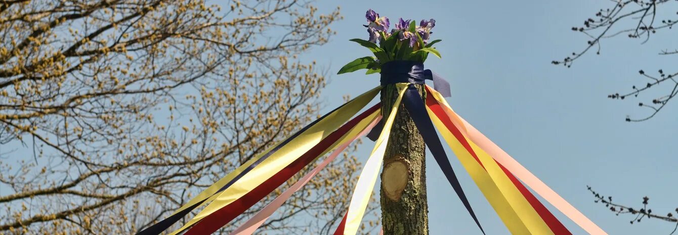 1 мая дерево. Maypole Майское дерево. Бельтайн Майское дерево. Майский шест Белтайн. Майский шест с лентами в Англии.