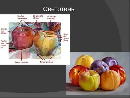 Правила светотеневого изображения предмета