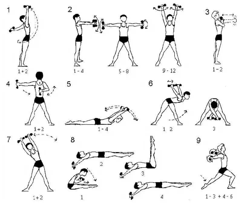 Уроки зарядка для начинающих. Комплекс упражнений с гантелями (10-12 упражнений). Комплекс общеразвивающих упражнений с гантелями 10-12 упражнений. Упражнения с гантелями для подростков. Комплекс упражнений с гантелями для мальчика 10 лет.
