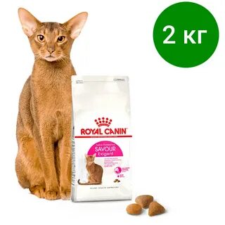 Корм для кошек роял канин отзывы