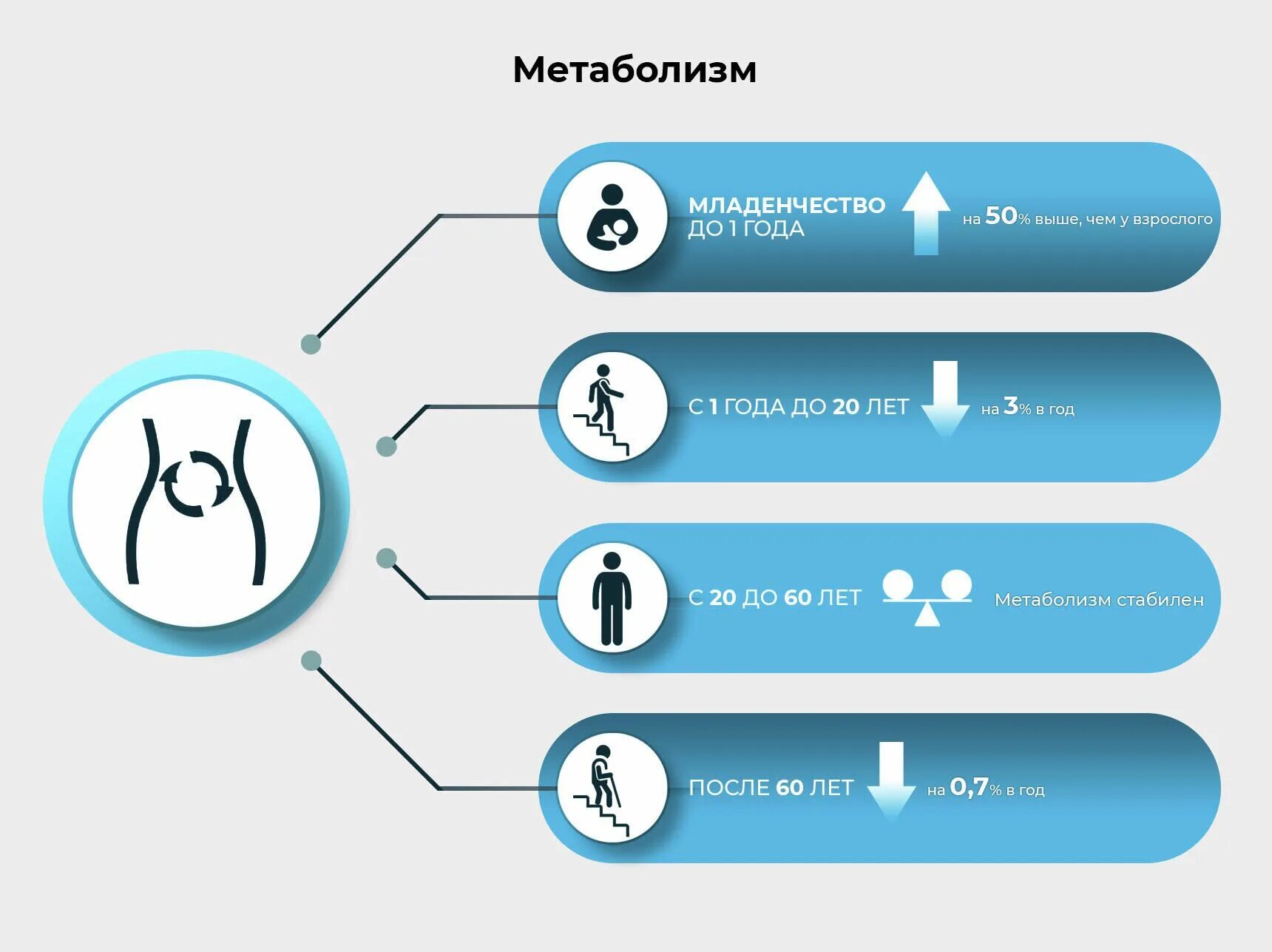 Повышается уровень обменных процессов