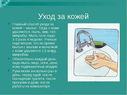 Правила ухода за кожей тела