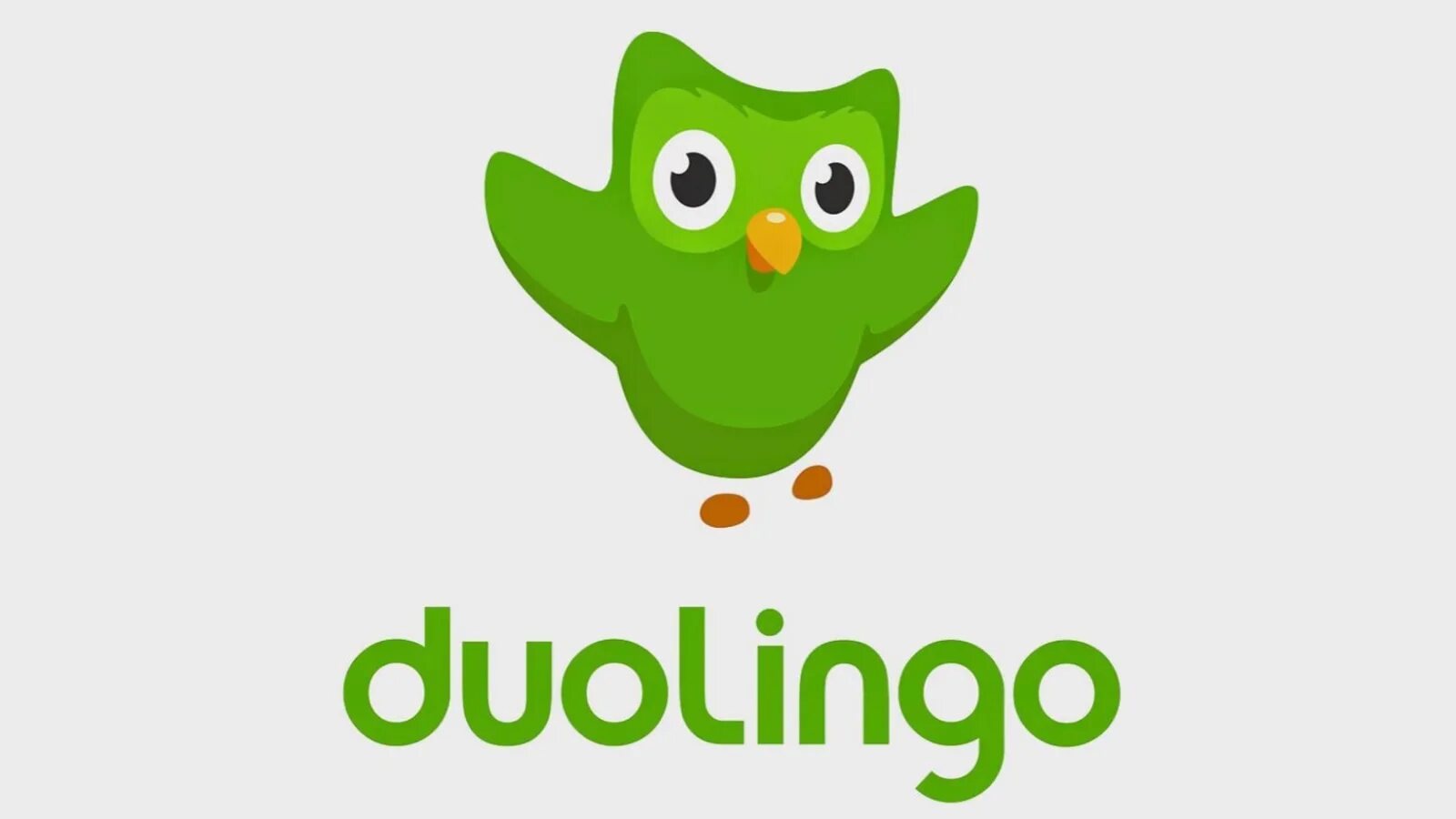 Дуолинго. Duolingo логотип. Дуолинго картинки. Дуолинго 2022. 18 duolingo