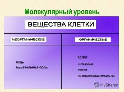 Минеральные вещества это органические или неорганические