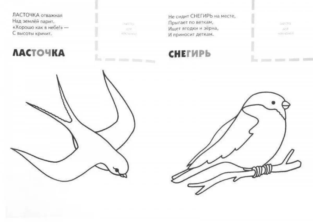 Перелетные птицы раскраски с названиями. Птицы. Раскраска. Раскраска "перелетные птицы". Птицы раскраска для детей. Перелетные птицы раскраска для детей.