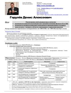 Резюме руководителя проекта