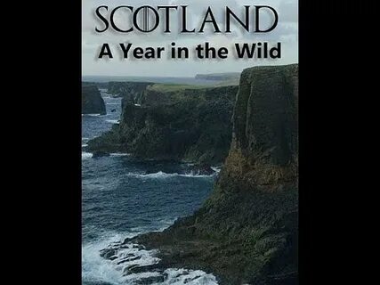 Wild year