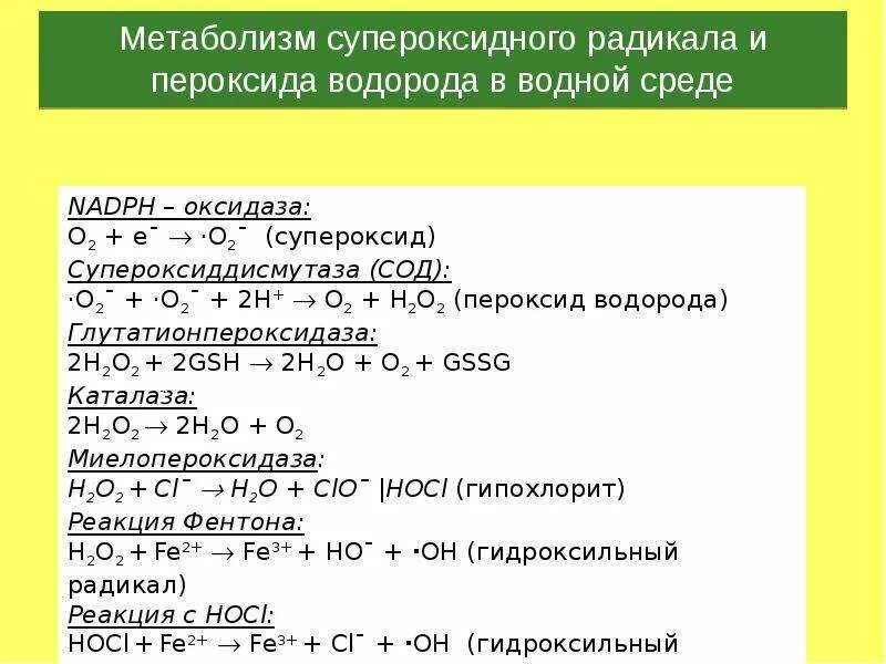 Супероксидный радикал. Супероксидный радикал образуется в реакции. Свободные радикалы водорода пероксид. Супероксиданион-радикала, пероксид-радикала, перекиси водорода. Супероксид радикал.