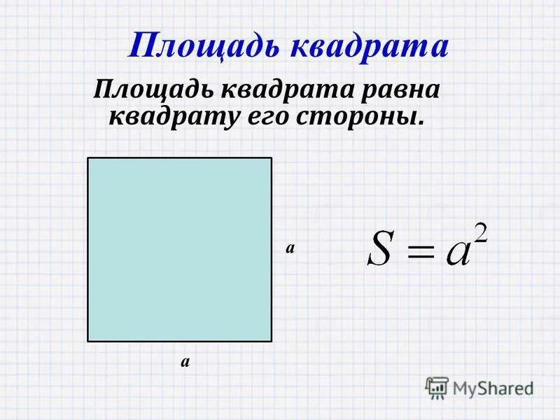 Какова площадь квадрата. Площадь квадрата формула 4кл. Как найти площадь квадрата формула 4. Квадрат лошадь. Площадь стороны квадрата.