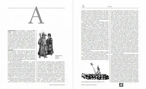 Арктика энциклопедия