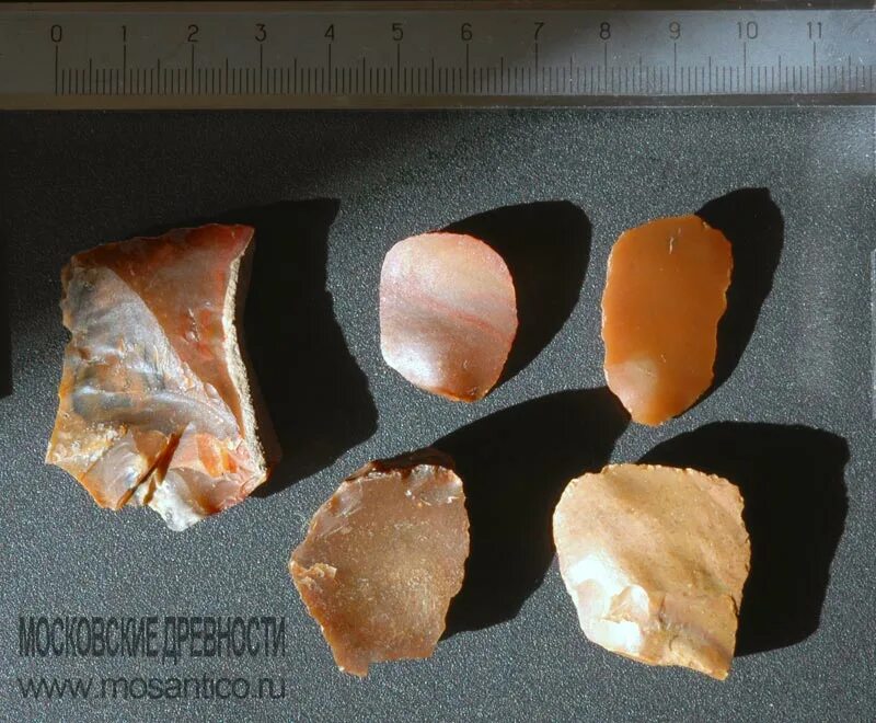 Неолит скребки кремень москва. Неолит презентация. Неолит скребки кремень. Культура эпохи неолита. Верхневолжская археологическая керамика неолит.