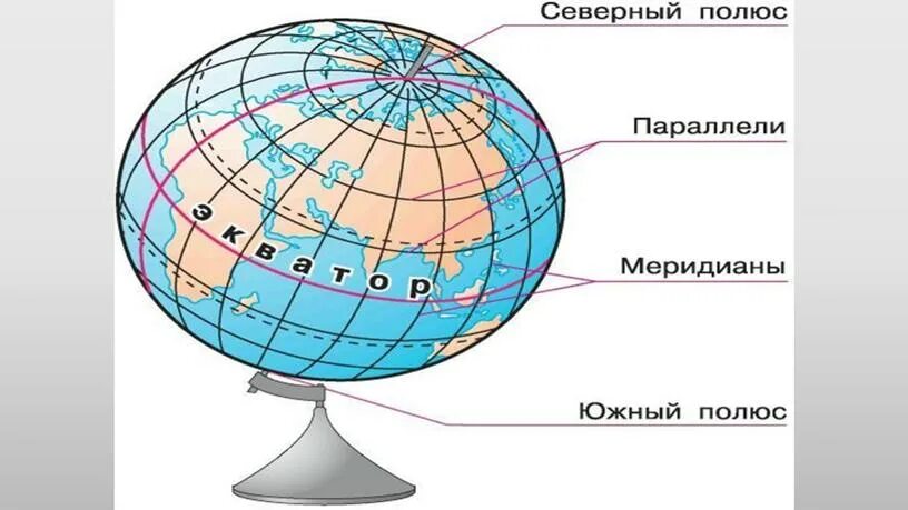 Как определить направление на глобусе. Меридианы на глобусе. Параллели на глобусе. Меридианы и параллели на глобусе. Экватор и меридианы на глобусе.