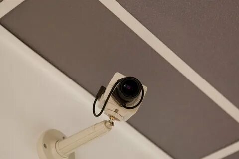 Жизнь под камерой