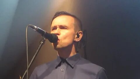 Видео группы дельфин