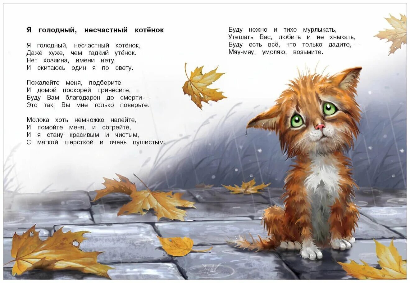 котенок в космосе. мяу. плачет котик песня. космическая кошка. песенка про кота.