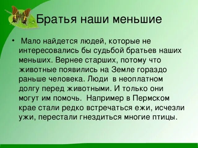 Беречь братец. Братья наши меньшие сочинение. Проект братья наши меньшие. Сочинение о братьях наших меньших. Братья наши меньшие сочинение 2 класс.