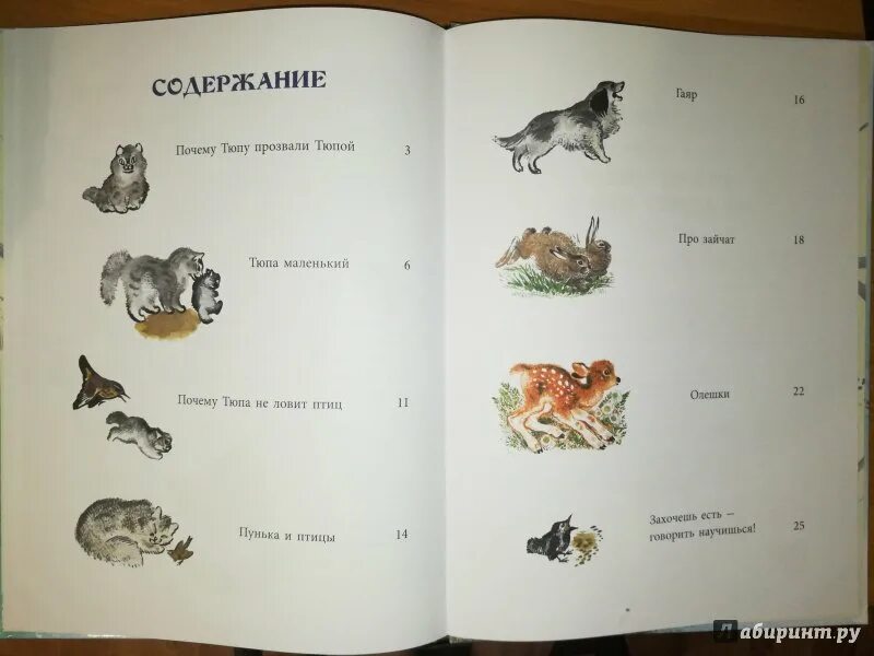 Почему тюпа не ловит птиц. Почему тюпа не ловит птиц