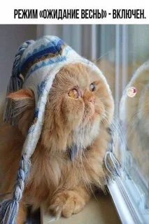 Включи в режим ожидания