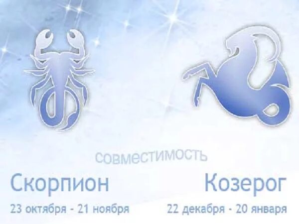 Скорпион и козерог совместимость в любви