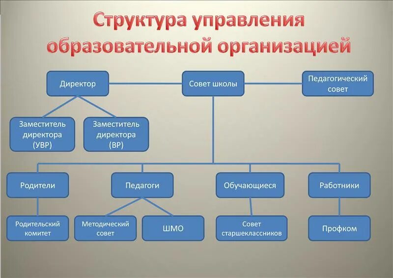 Внутренняя организация школы. Организационная структура учебного учреждения. Структура управления учебного заведения. Структура и органы управления школы. Управленческая структура образовательной организации.