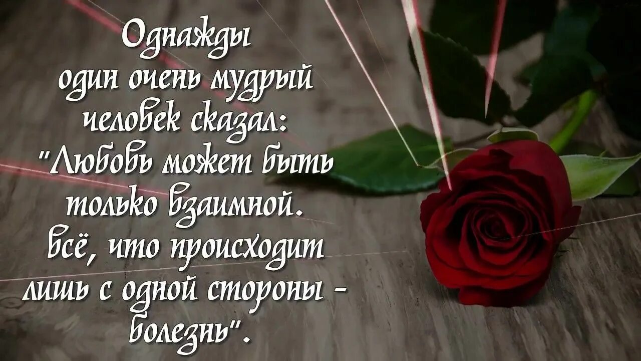 Мудрые цитаты любимому. Мудрые высказывания о любви. Красивые цитаты про любовь. Красивые высказывания о любви. Мудрые цитаты любимому.