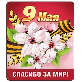 9 magnet