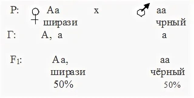 Крисс кросс наследование