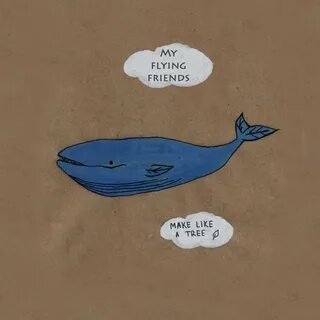 Fly my friend fly