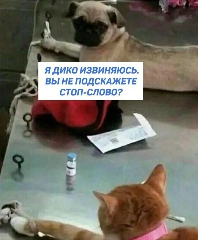 А ты что не подскажешь