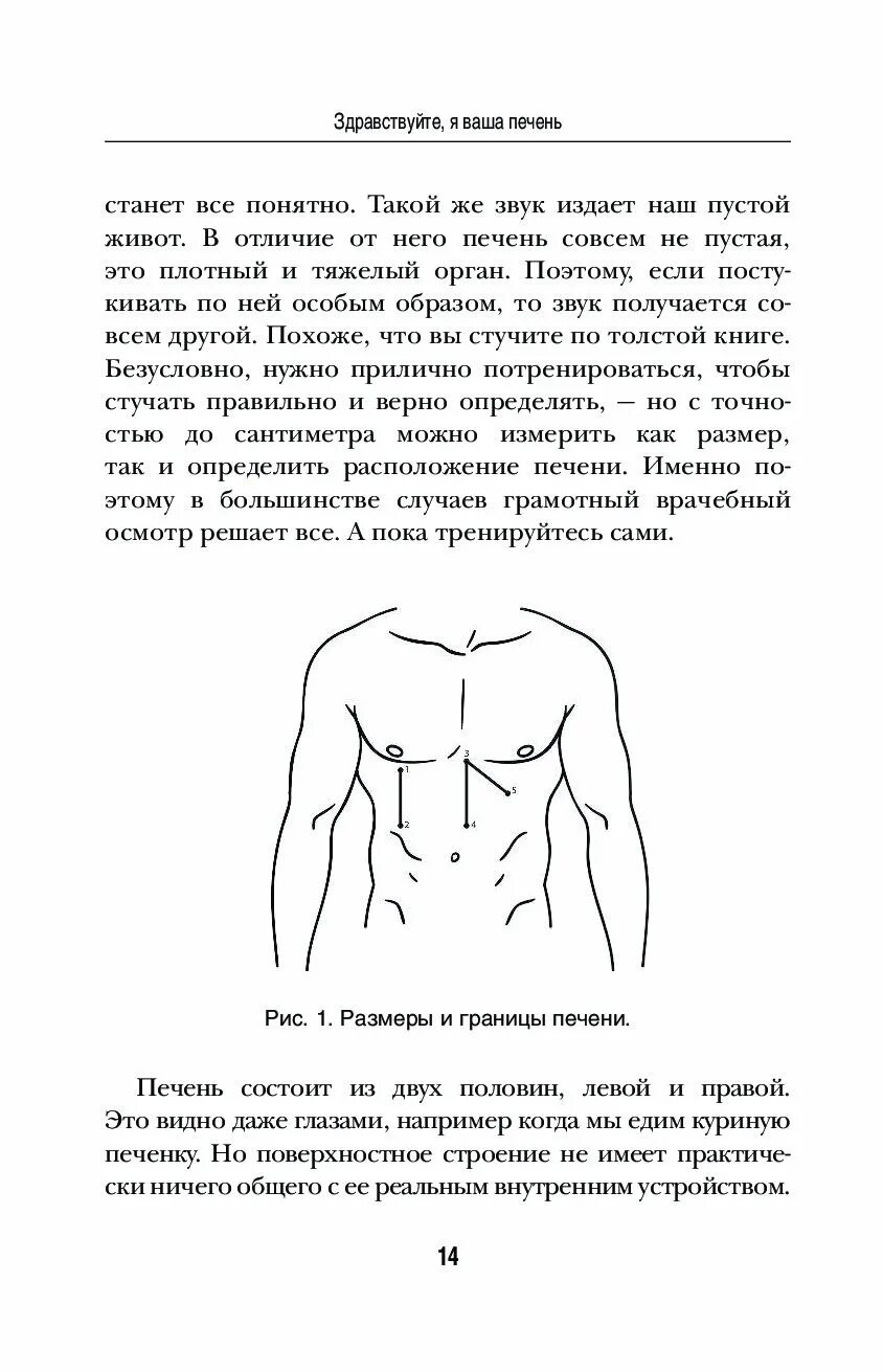 О чем молчит печень. Доктор вялов о чем молчит печень. Книга о чем молчит печень. О чем молчит печень вялов. Книга о чем молчит печень.