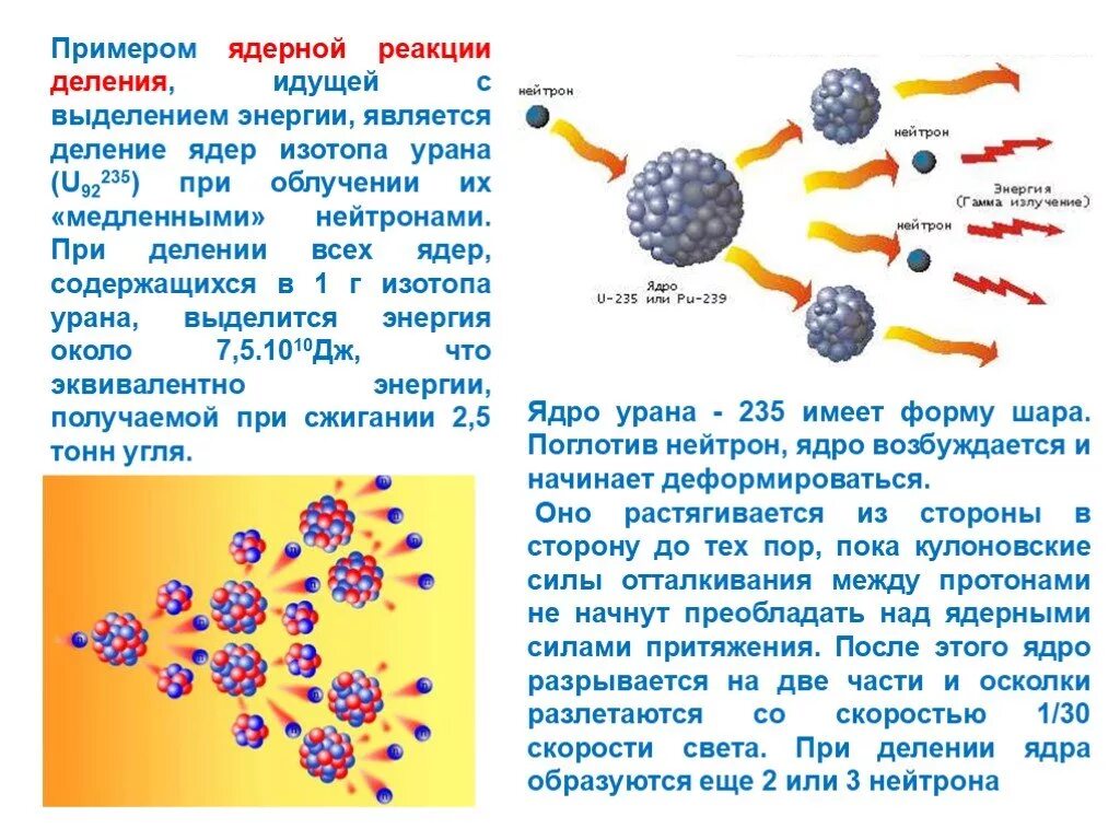 Что выделяется при ядерной реакции. Деление ядер урана. цепная реакция. ядерный реактор.. реакция деления атомного ядра выделение. ядерные реакции деление ядер 8 класс. схема цепной ядерной реакции урана.