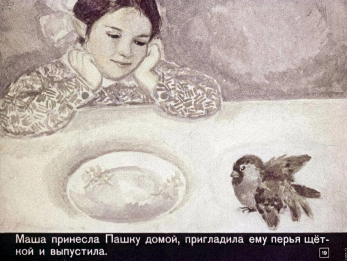 Раскраски растрепанный воробей паустовский. Иллюстрации к сказке Паустовского растрепанный Воробей. Рисунок к рассказу Константина Паустовского растрепанный Воробей. Иллюстрации к рассказу Паустовского растрепанный Воробей. Иллюстрации к рассказу Паустовского растрёпанный Воробей.