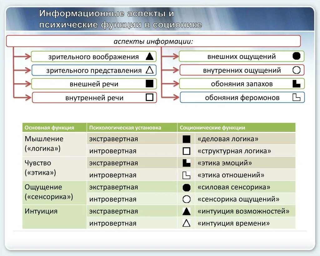 Социотипы личности