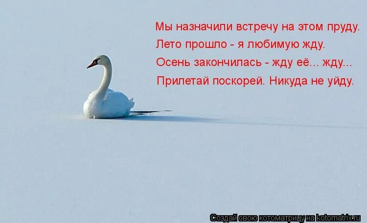 Надеюсь после встречи. Я жду нашей встречи стихи. Стихи я жду встречи с тобой. Жду встречи стихи мужчине. Стих жду встречу.