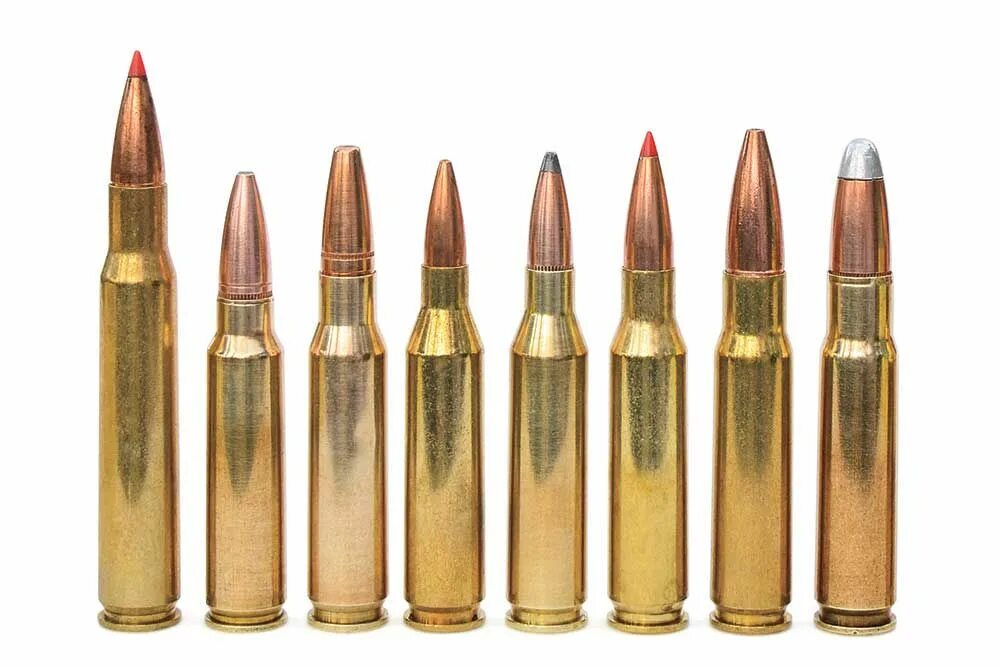 Калибр 338 Snipetac. 307 Калибр vs 308. 308 Winchester винтовка. 308 winchester